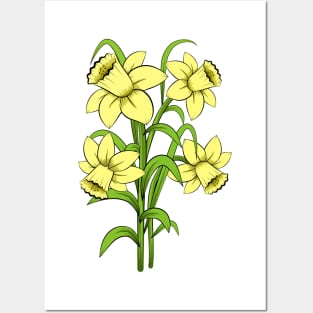 Daffodils Posters and Art